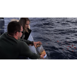 Dispersion des cendres en mer