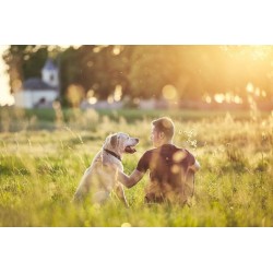 Dispersion des cendres de votre animal de compagnie